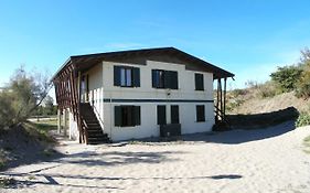 Apartments In Rosolina Mare 24957